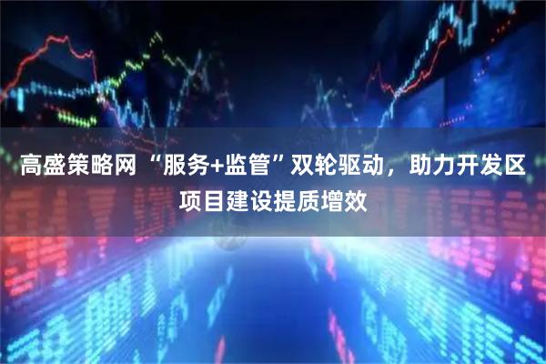 高盛策略网 “服务+监管”双轮驱动，助力开发区项目建设提质增效