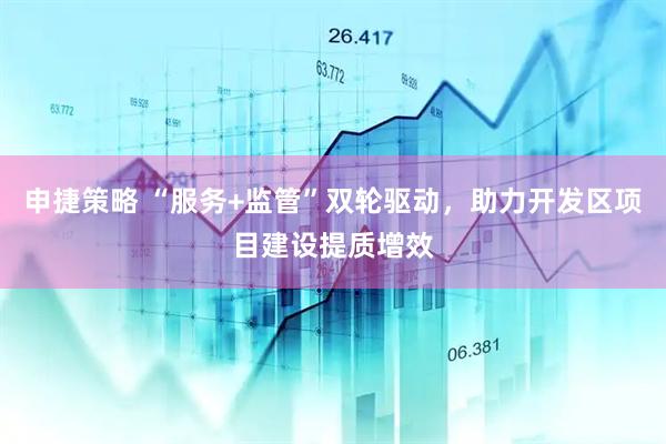 申捷策略 “服务+监管”双轮驱动，助力开发区项目建设提质增效