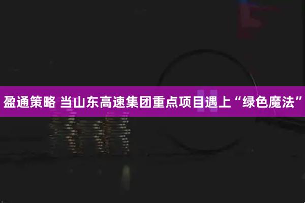 盈通策略 当山东高速集团重点项目遇上“绿色魔法”