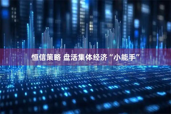 恒信策略 盘活集体经济“小能手”