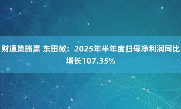 财通策略赢 东田微：2025年半年度归母净利润同比增长107.35%