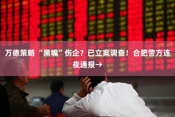 万德策略 “黑嘴”伤企？已立案调查！合肥警方连夜通报→