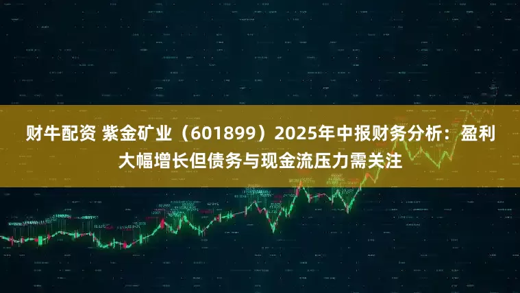 财牛配资 紫金矿业（601899）2025年中报财务分析：盈利大幅增长但债务与现金流压力需关注