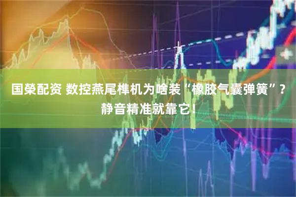 国榮配资 数控燕尾榫机为啥装“橡胶气囊弹簧”？静音精准就靠它！